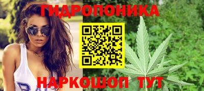 прущие крисы Партизанск