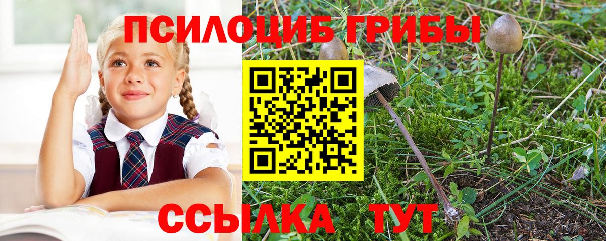 Галлюциногенные грибы Cubensis Советск