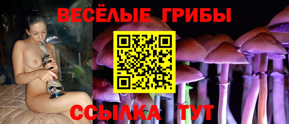 Галлюциногенные грибы Psilocybine cubensis  Галлюциногенные грибы GOLDEN TEACHER  Вход с VPN  Советск 