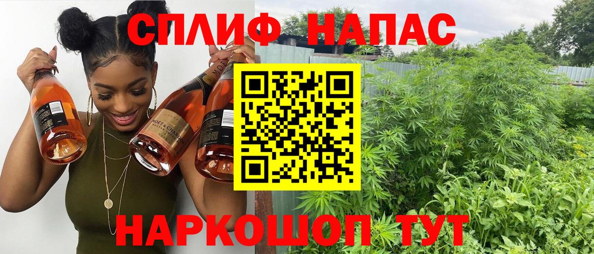 Бошки марихуана White Widow Советск